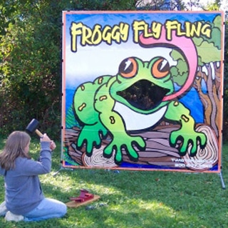 Froggy Fly Fling